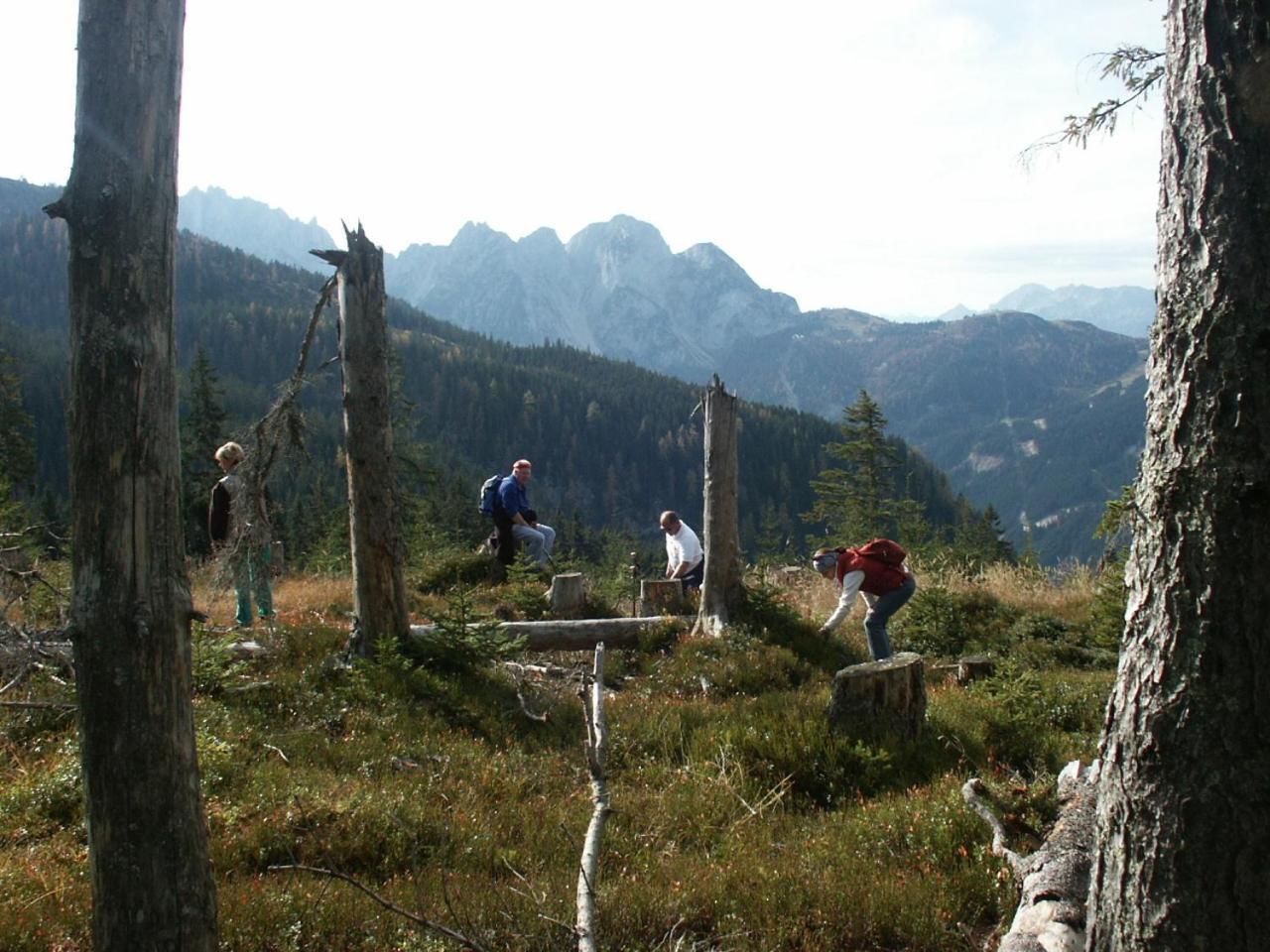 Chalet Alpenchalet *