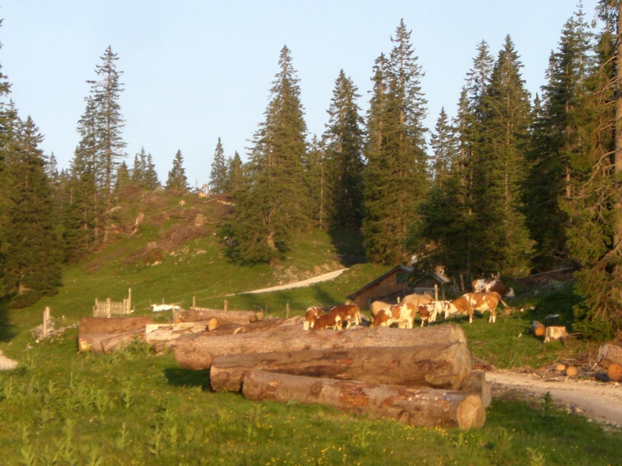 Chalet Alpenchalet *