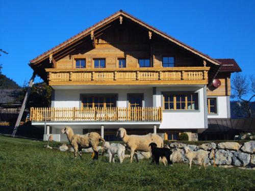 Alpenchalet Chalet Gosau